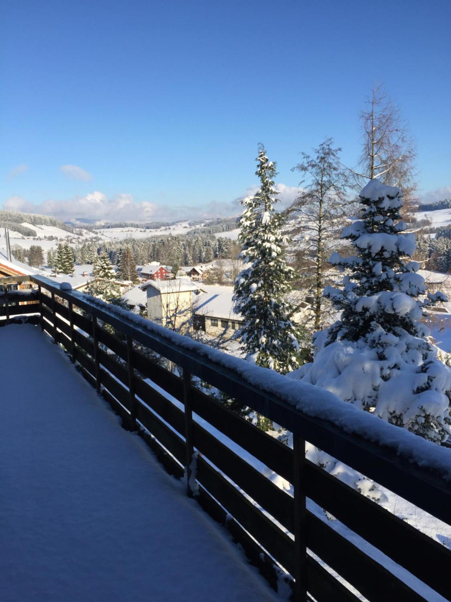 Panoramaapart - Alpzeit Im Westallgaeu Oberreute Eksteriør billede